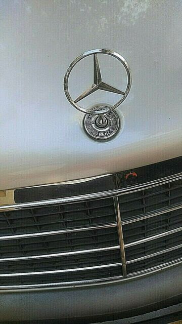 1994 Mercedes-Benz S-Class Silver with Gray lower panels - photo 5