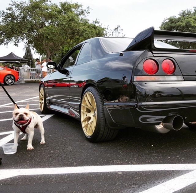 1980 Nissan GT-R - photo 3