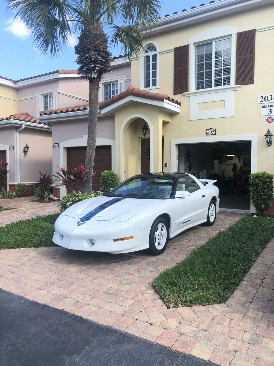 1994 Pontiac Firebird 25th Anniversary Trans Am - photo 9