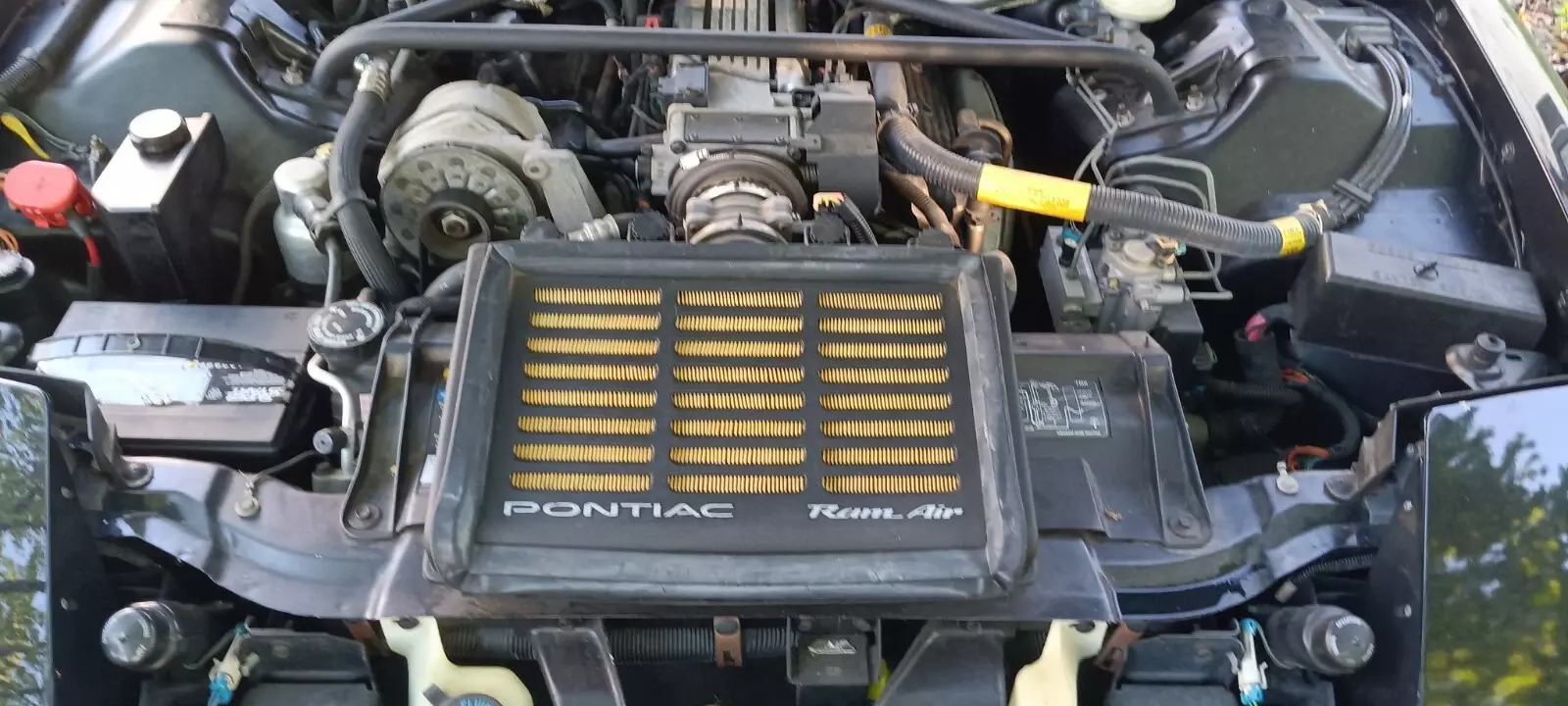 1994 Pontiac Firebird - photo 4