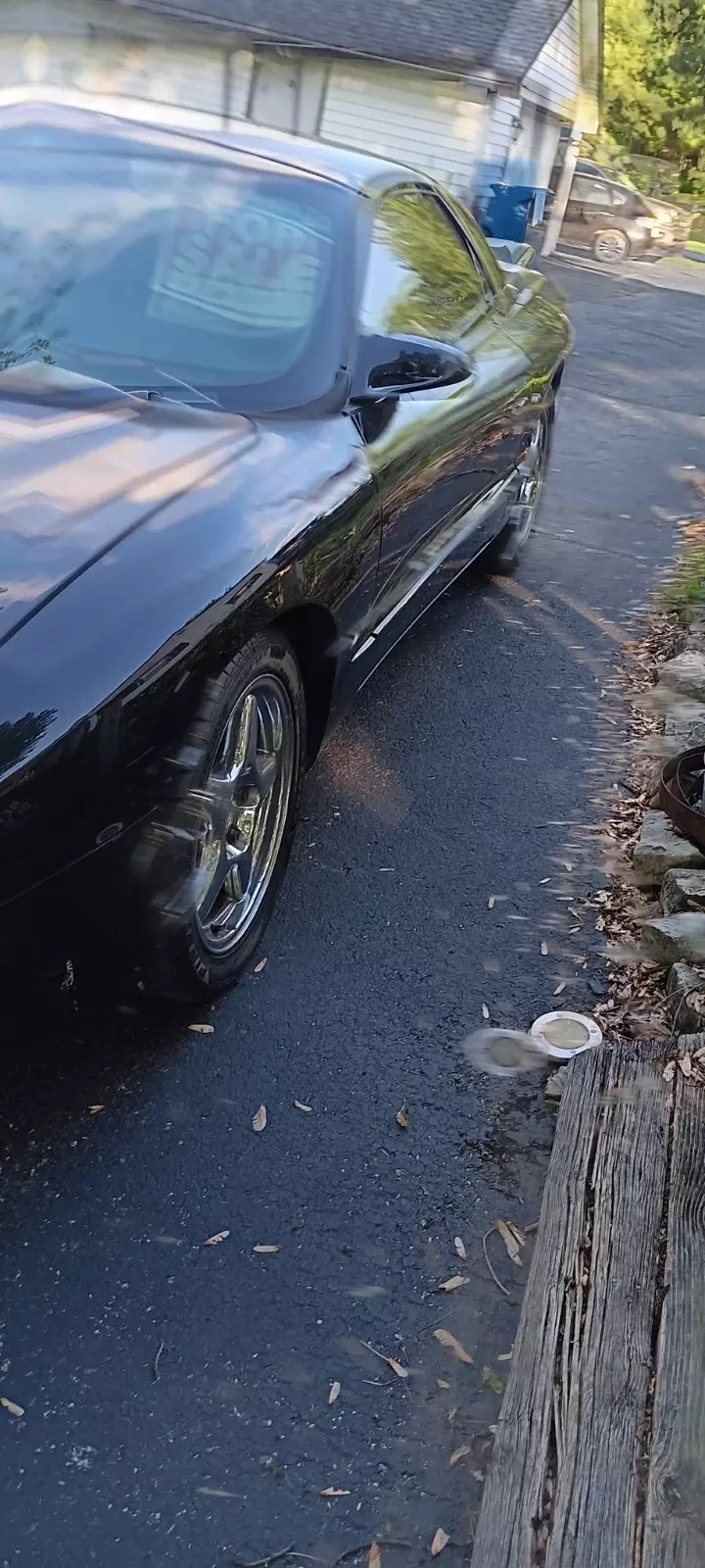 1994 Pontiac Firebird - photo 6
