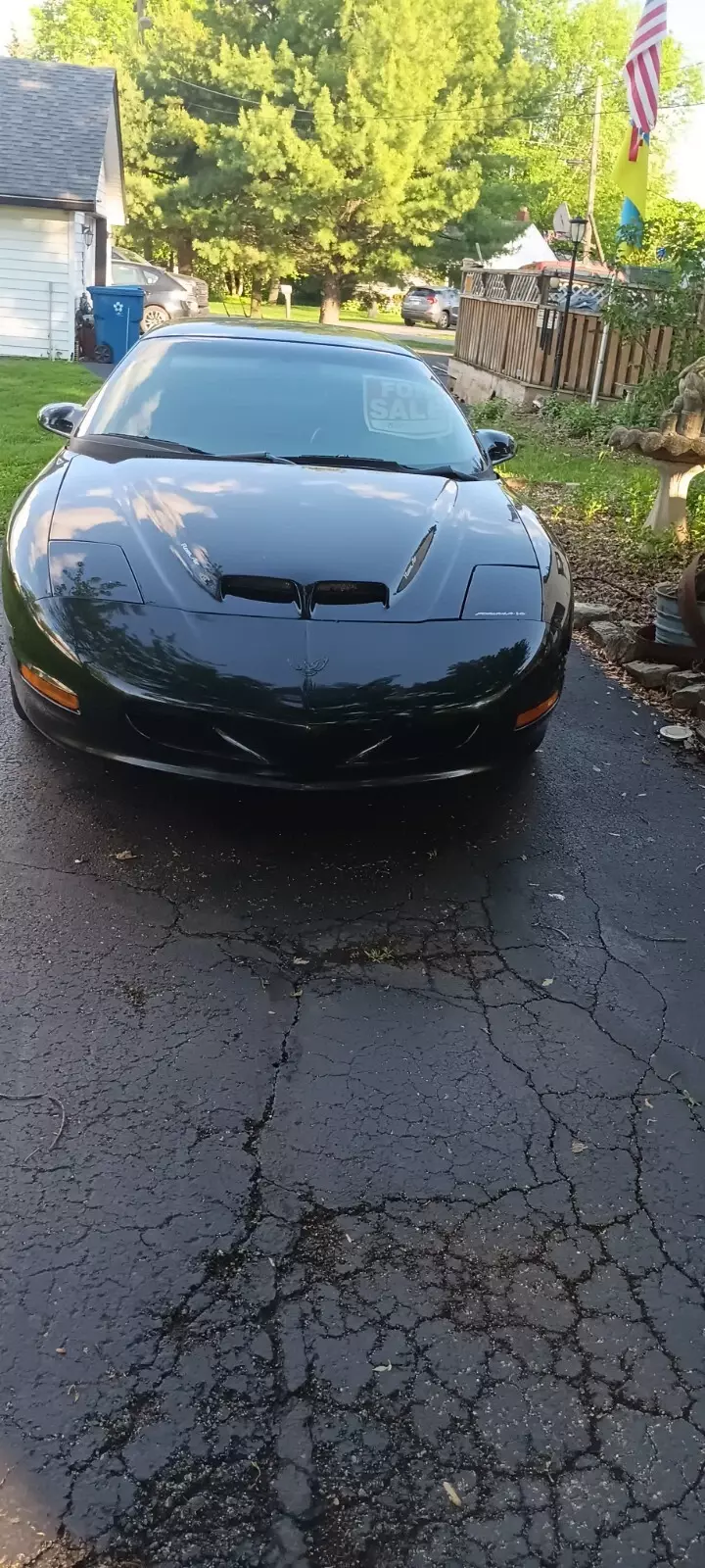 1994 Pontiac Firebird - photo 7