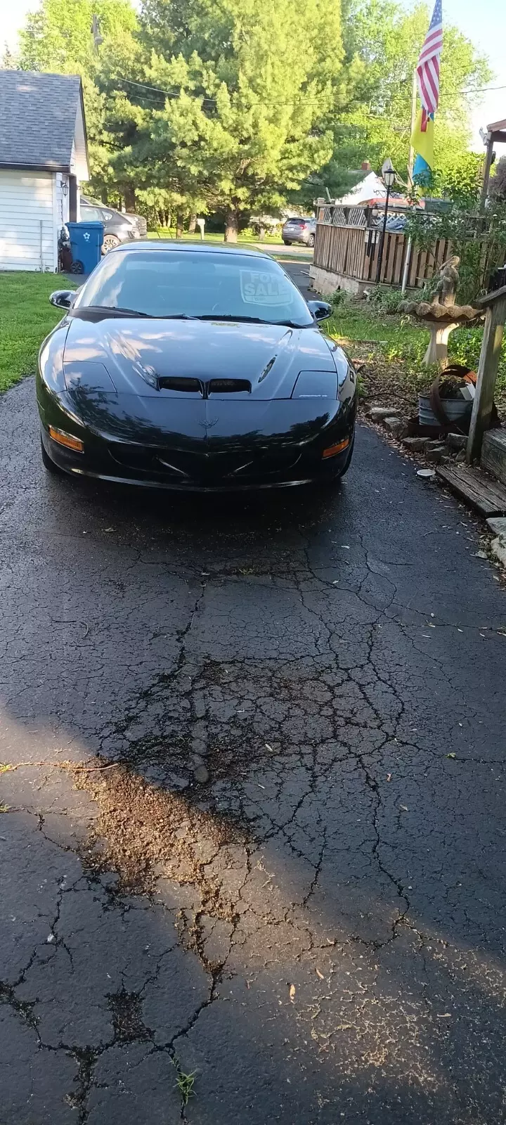 1994 Pontiac Firebird - photo 8