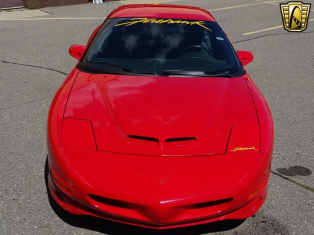 1994 Pontiac Firebird SLP Firehawk - photo 2