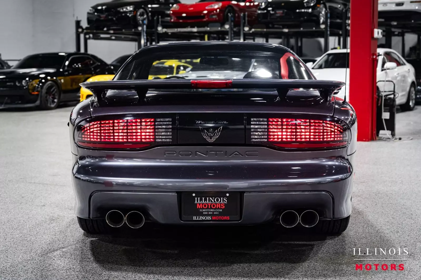 1994 Pontiac Firebird Trans Am 6-Speed - photo 4