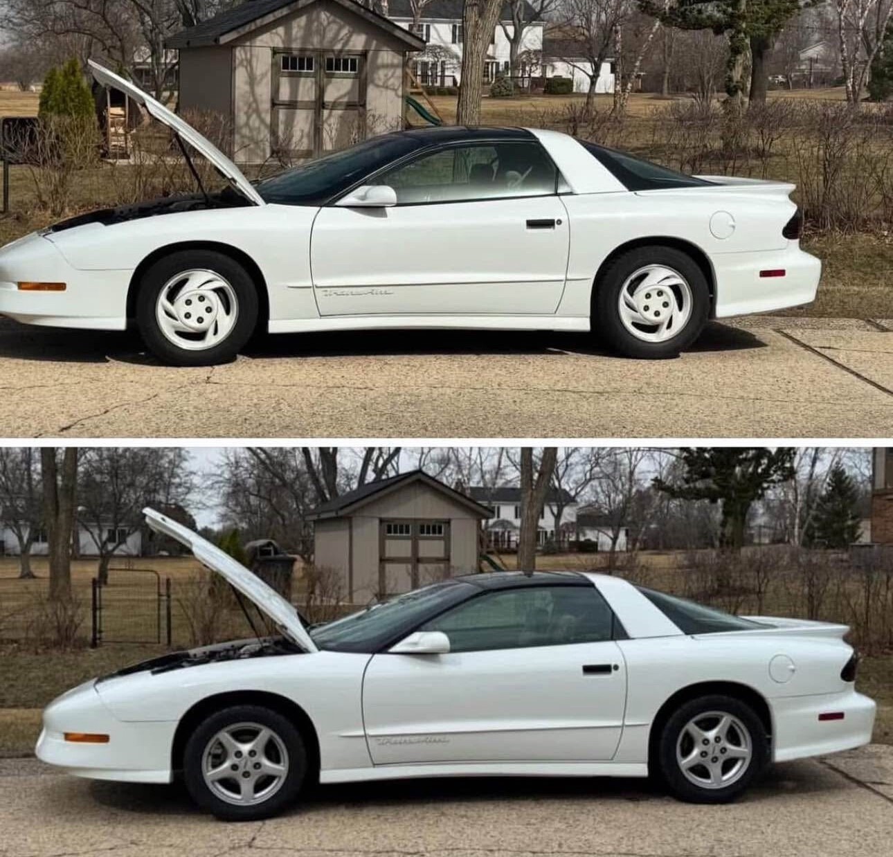 1994 Pontiac Firebird Trans Am - photo 7