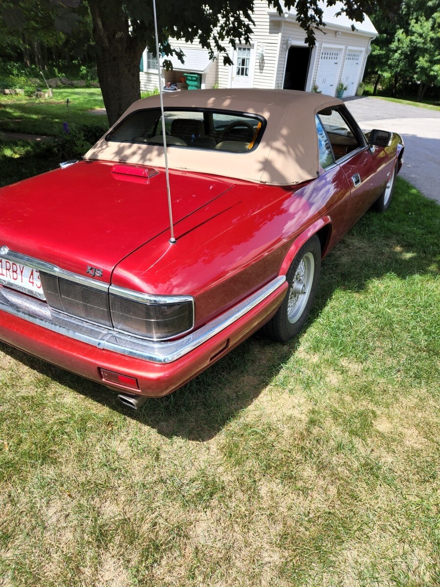 1994 Jaguar XJS - photo 5