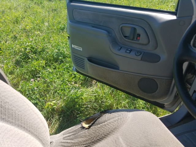 1995 Chevrolet Other Pickups - photo 6