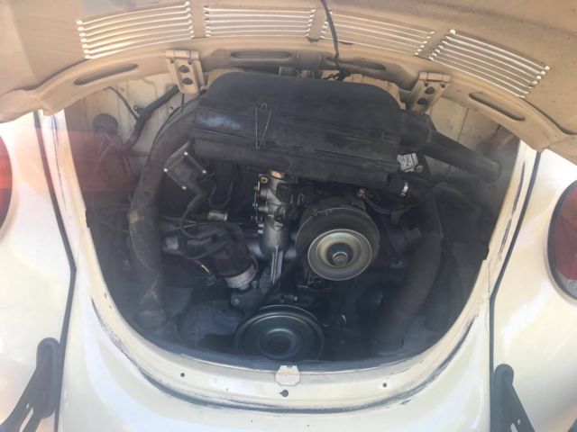 1981 Volkswagen Beetle - Classic - photo 2