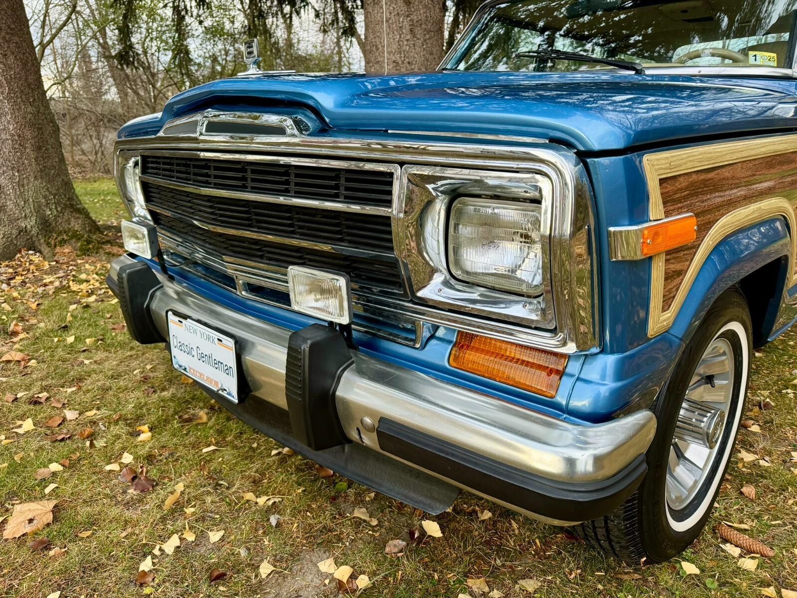 1991 Jeep Wagoneer - photo 8
