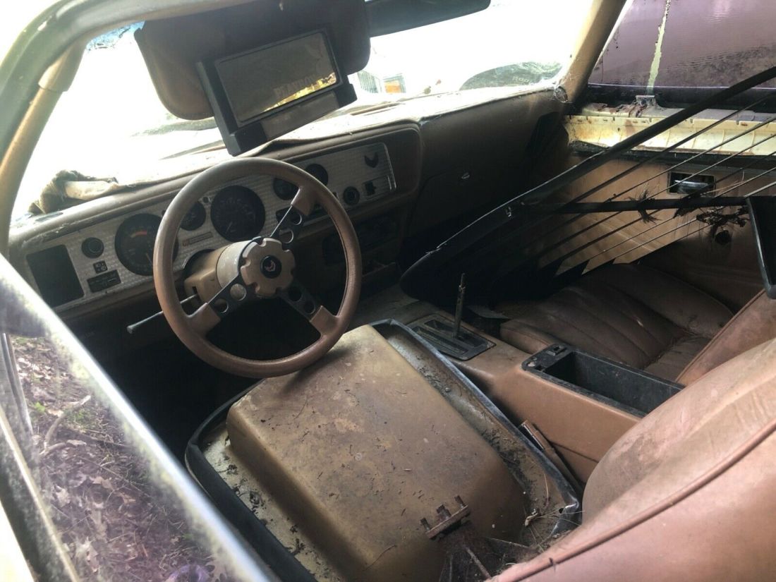1980 Pontiac Trans Am - photo 10