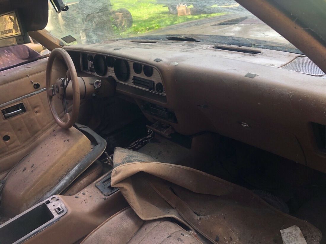 1980 Pontiac Trans Am - photo 11