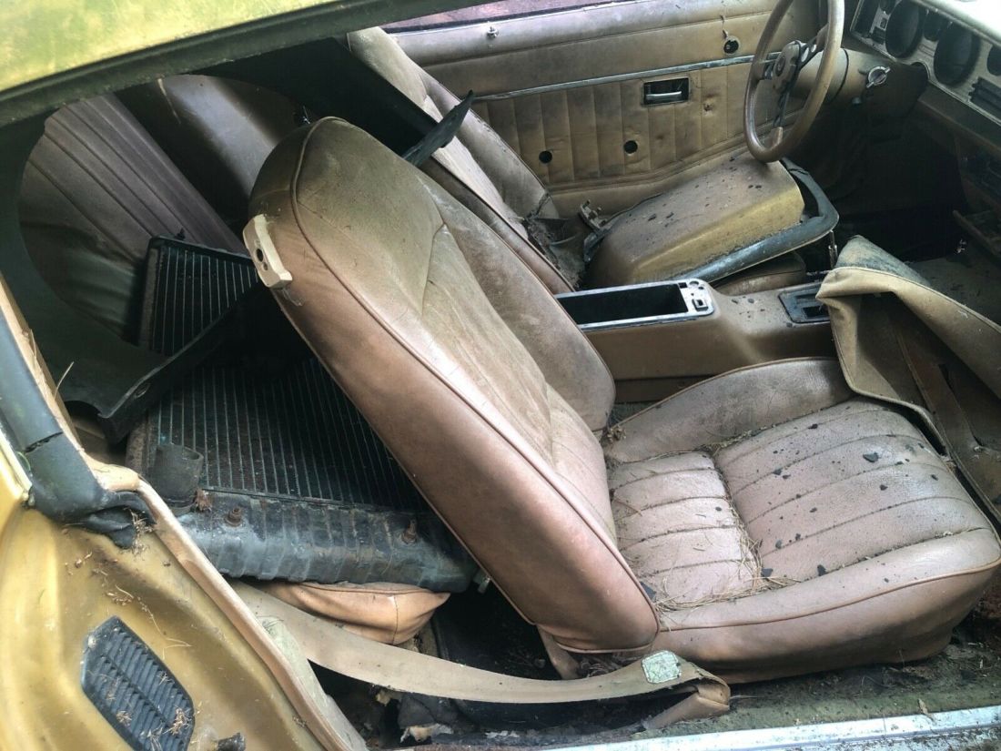 1980 Pontiac Trans Am - photo 12