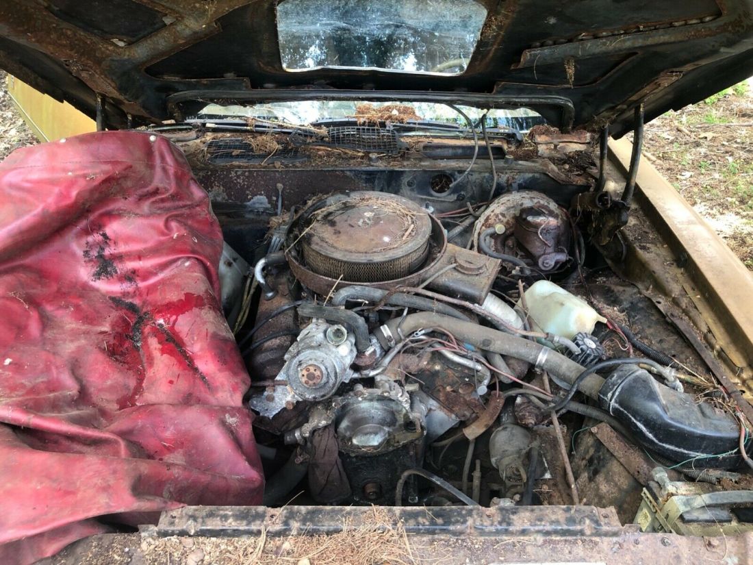 1980 Pontiac Trans Am - photo 13