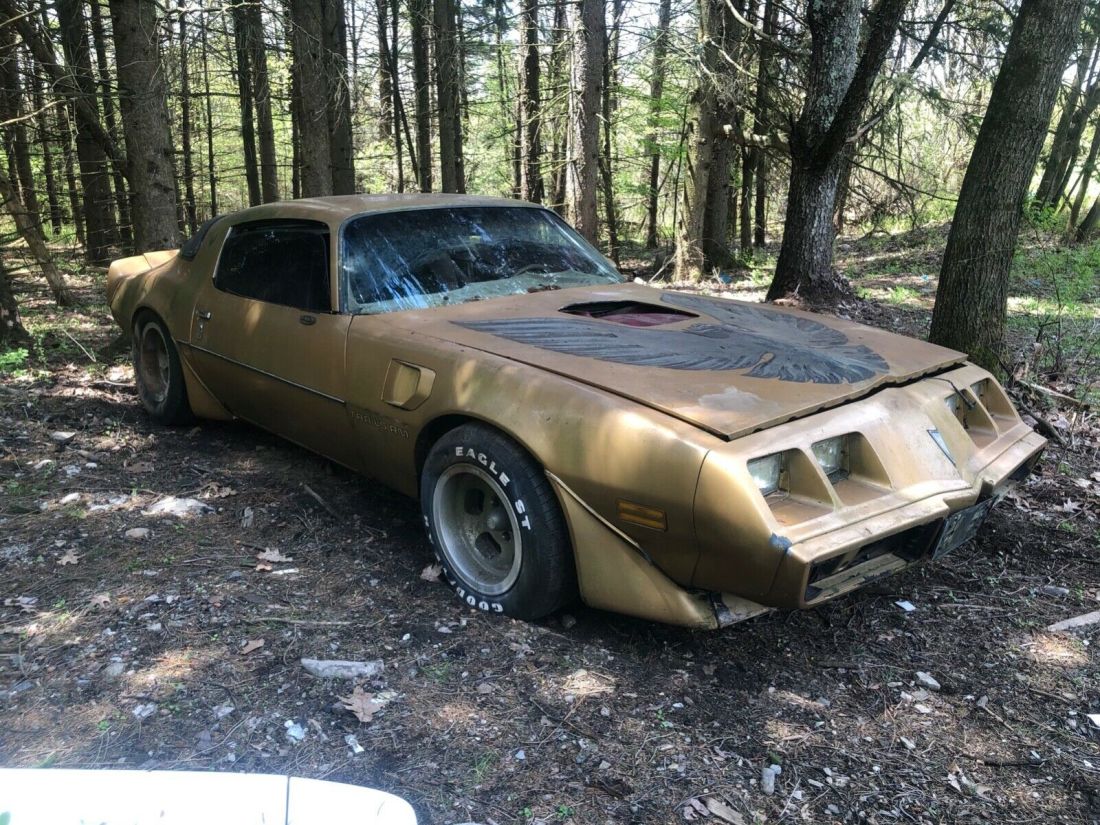 1980 Pontiac Trans Am - photo 3