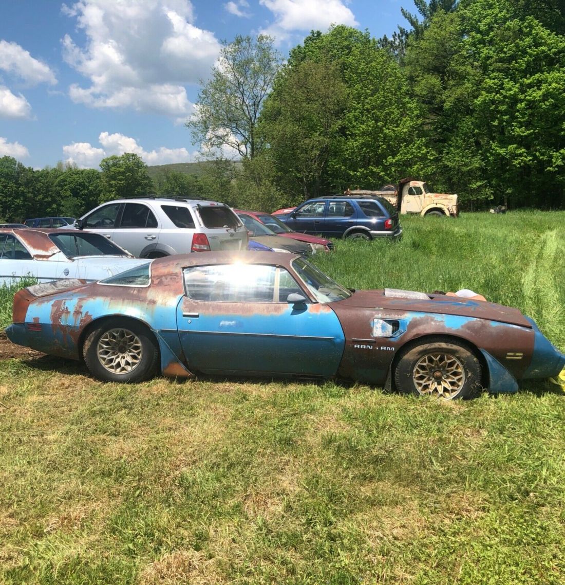 1980 Pontiac Trans Am - photo 4