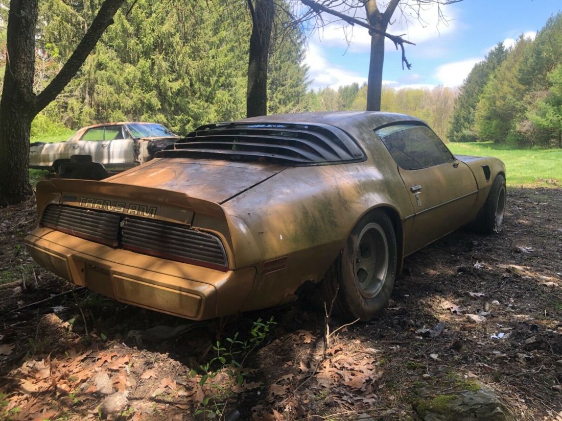 1980 Pontiac Trans Am - photo 5