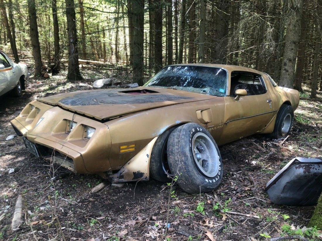 1980 Pontiac Trans Am - photo 6