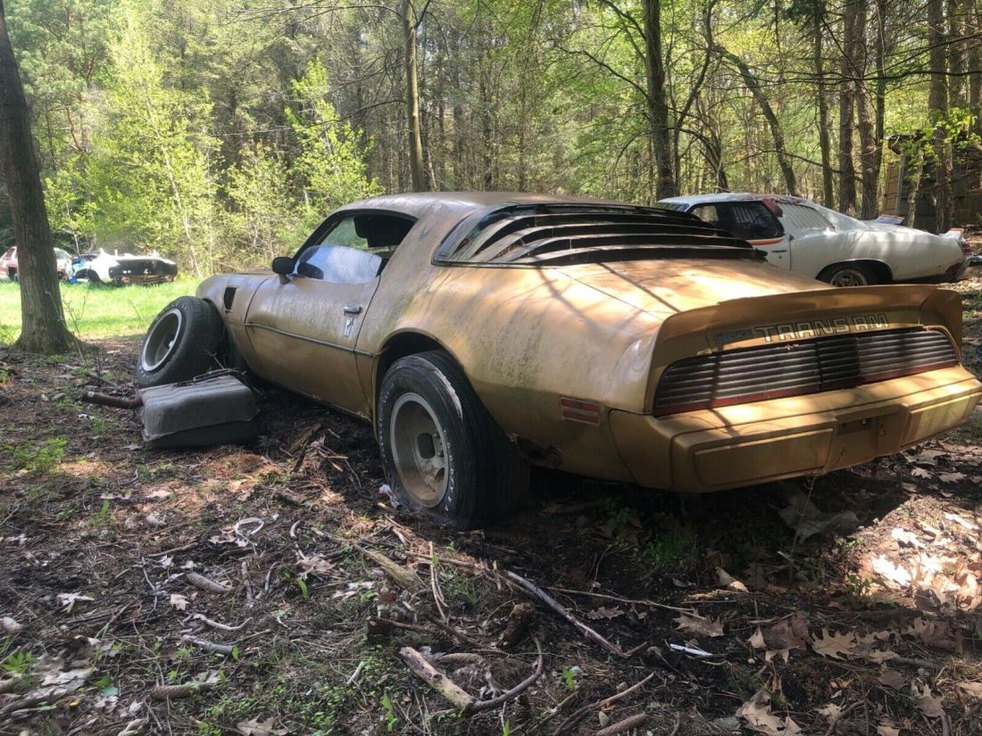 1980 Pontiac Trans Am - photo 7