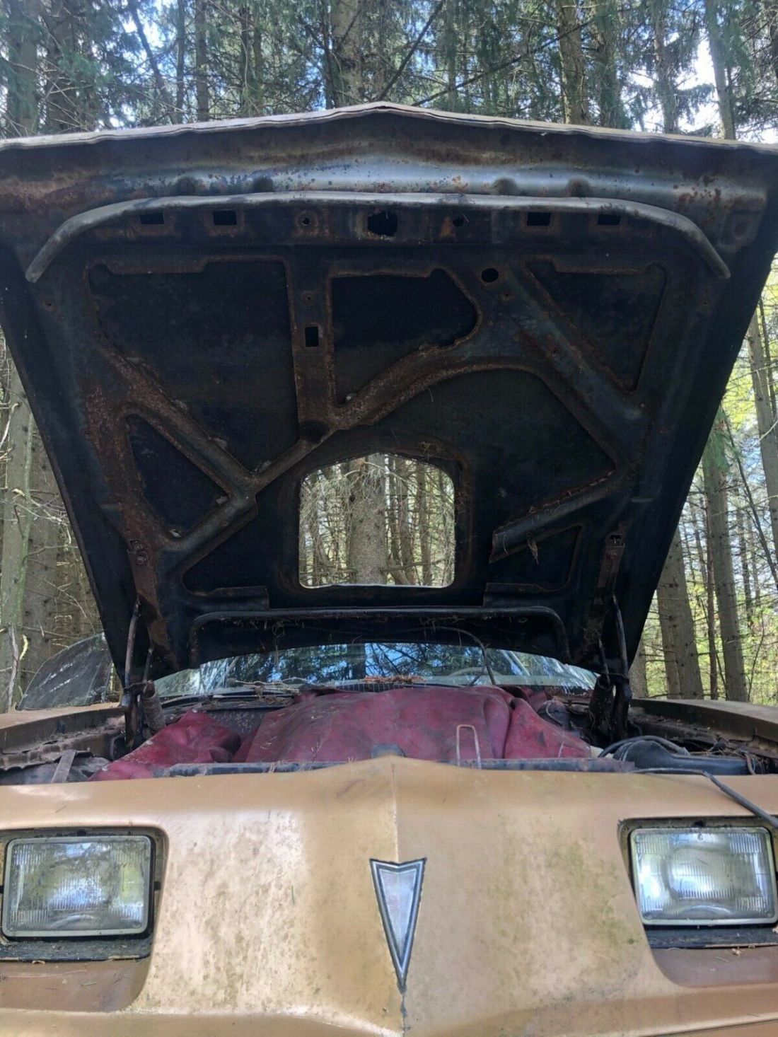 1980 Pontiac Trans Am - photo 8