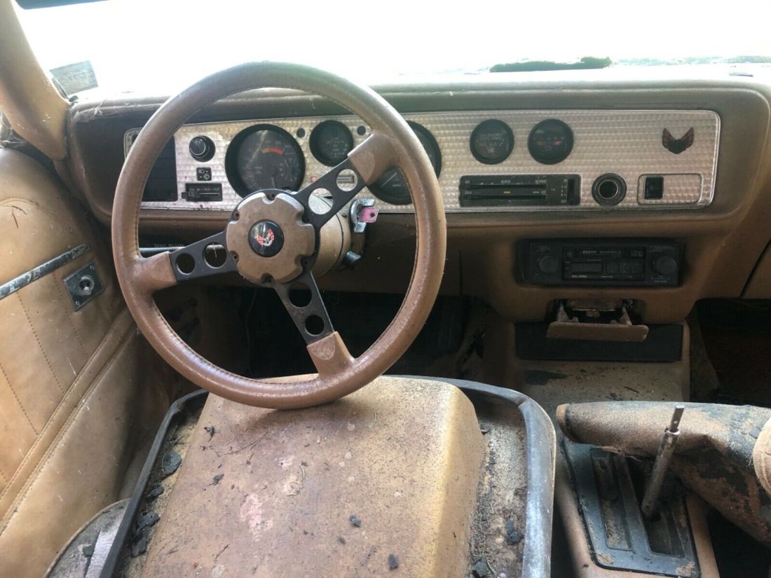 1980 Pontiac Trans Am - photo 9