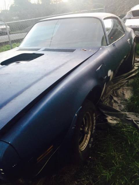 1973 Pontiac Trans Am - photo 10