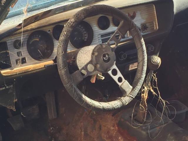 1973 Pontiac Trans Am - photo 5