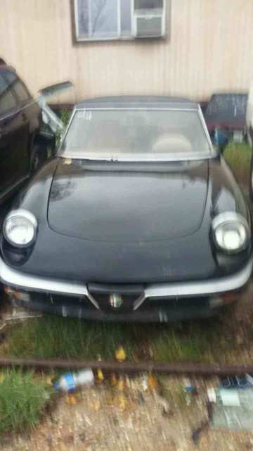 1986 Alfa Romeo Spider - photo 6
