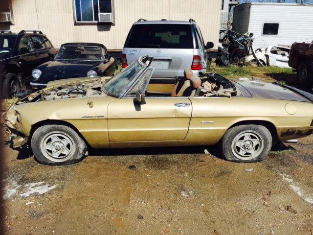 1986 Alfa Romeo Spider - photo 8