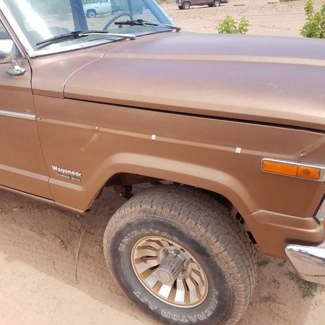 1979 Jeep Wagoneer - photo 6