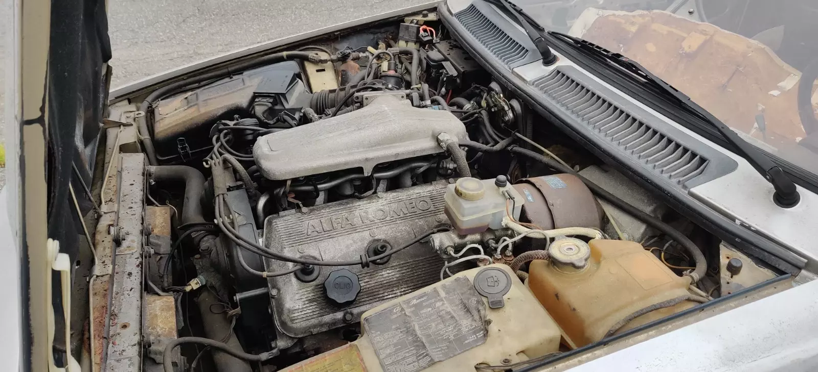 1986 Alfa Romeo GTV-6 - photo 9