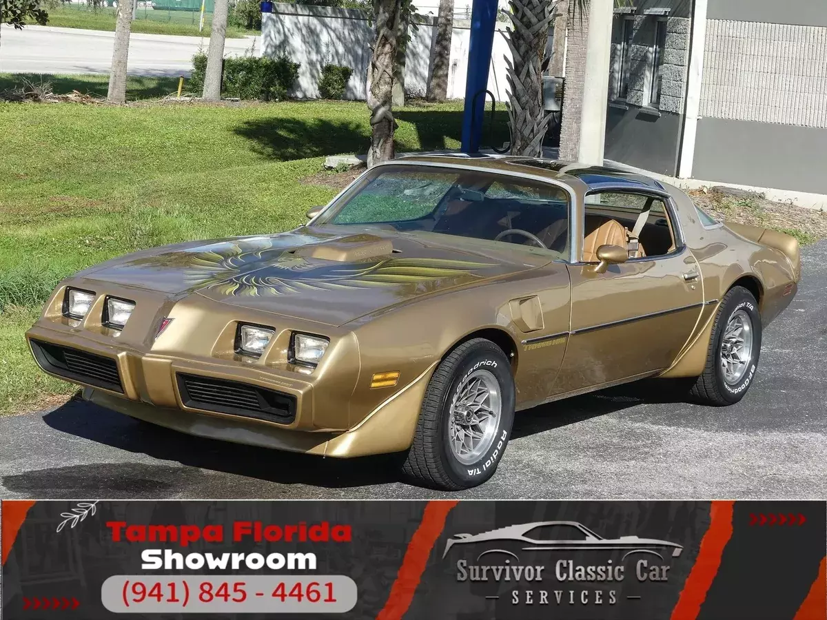 2-Owner, 61,256 actual miles! PHS documentation. T-Tops, WS6, A/C, Limited Slip! 1979 Pontiac Trans Am WS6 with T-Tops