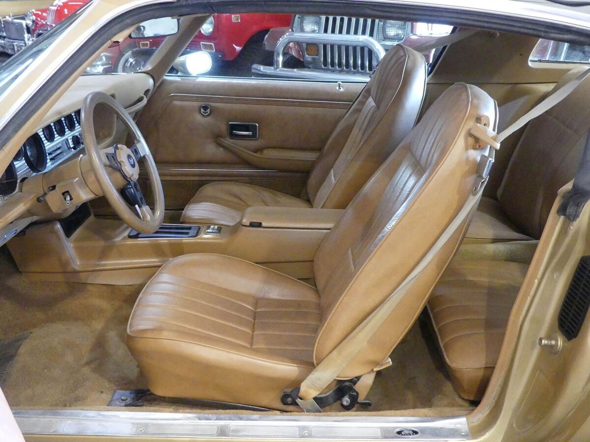 1979 Pontiac Trans Am WS6 with T-Tops - photo 4