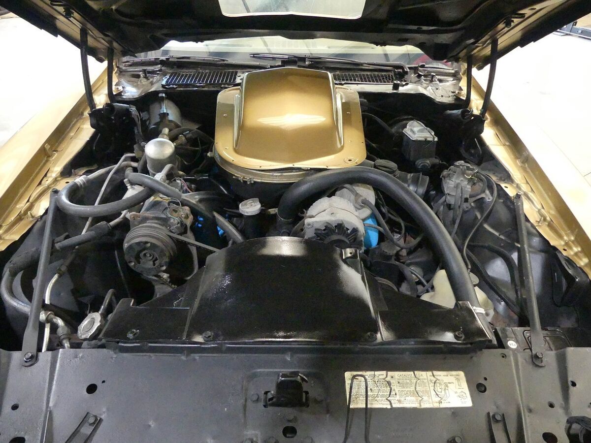 1979 Pontiac Trans Am WS6 with T-Tops - photo 5