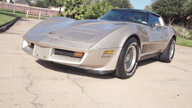 1982 Chevrolet Corvette Collector's Edition Hatchback 2-Door - photo 11