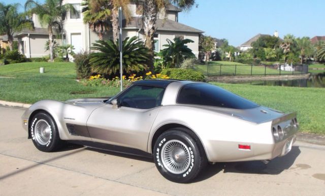 1982 Chevrolet Corvette Collector's Edition Hatchback 2-Door - photo 6