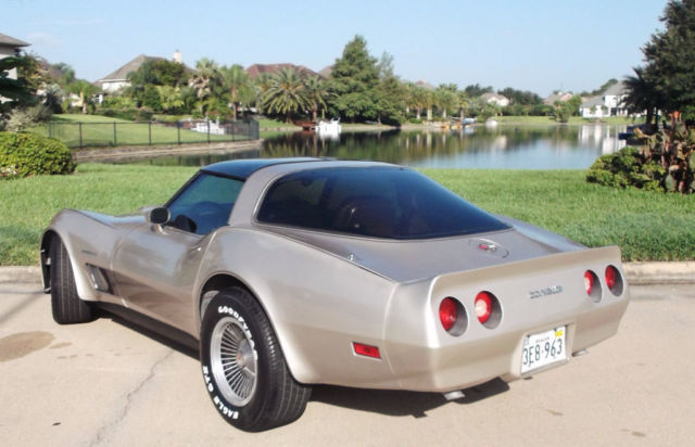 1982 Chevrolet Corvette Collector's Edition Hatchback 2-Door - photo 7