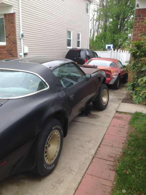 1981 Pontiac Trans Am transam - photo 10