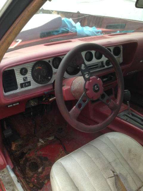 1981 Pontiac Trans Am transam - photo 13