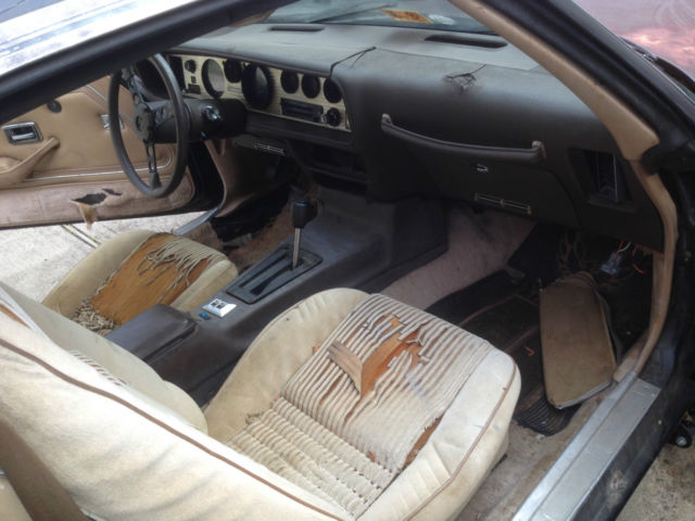 1981 Pontiac Trans Am transam - photo 3