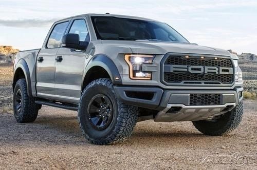 1980 Ford F-150 2017 F-150 Raptor 17 Avalanche Grey Crew Cab - photo 3
