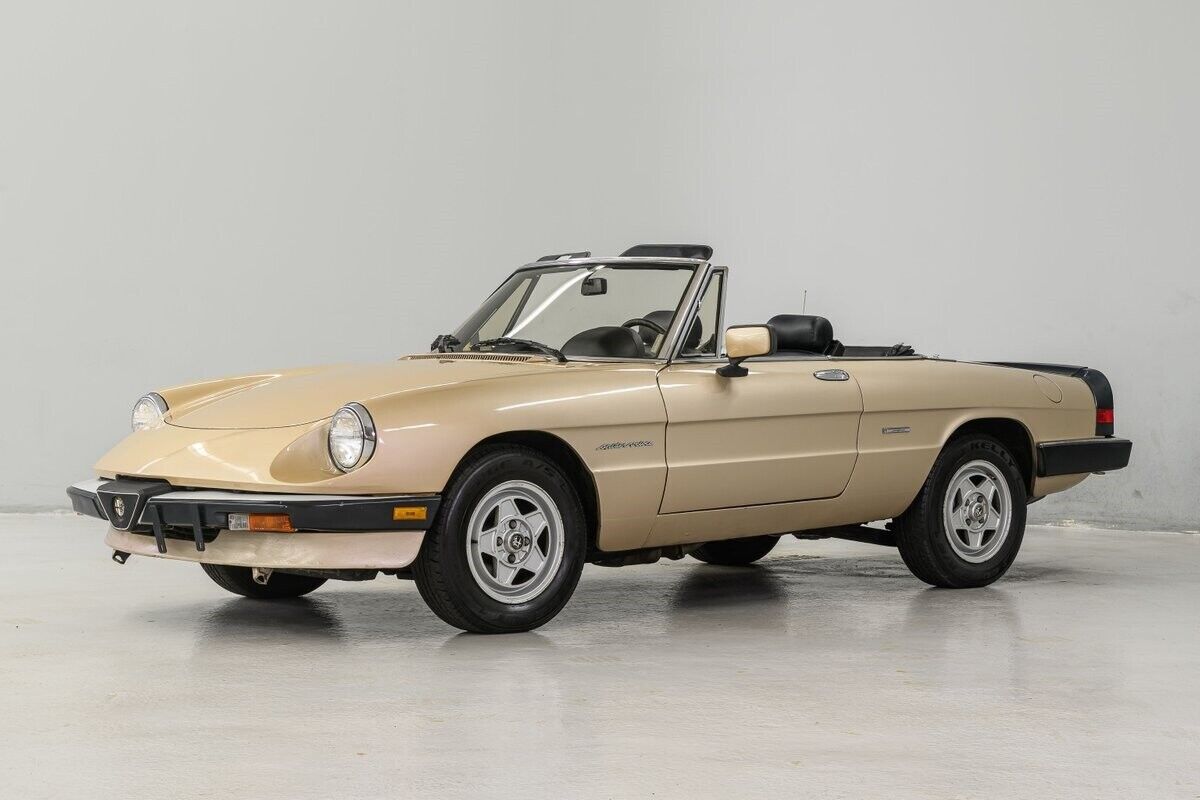1986 Alfa Romeo Spider - photo 13