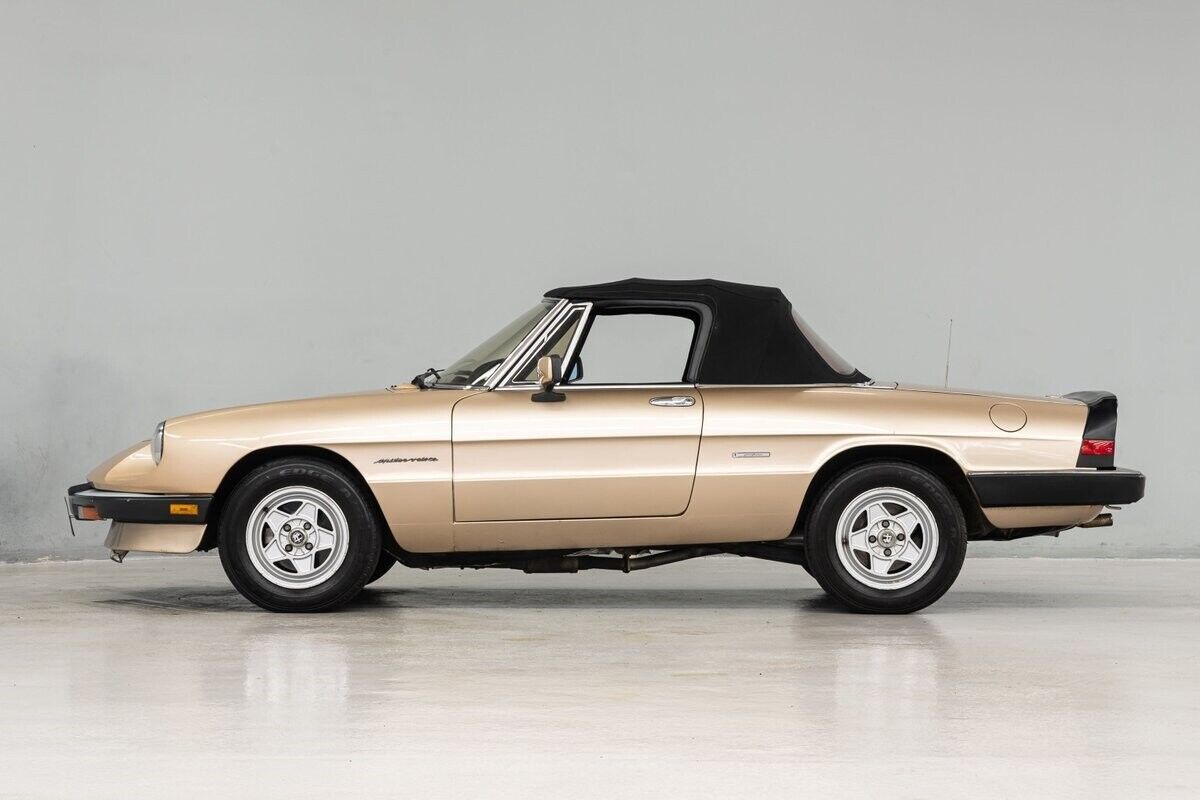 1986 Alfa Romeo Spider - photo 3
