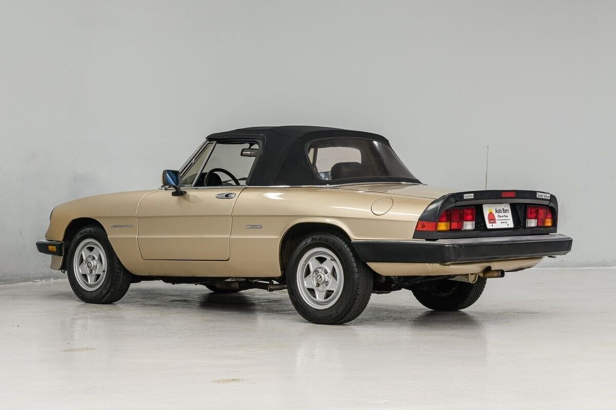1986 Alfa Romeo Spider - photo 4