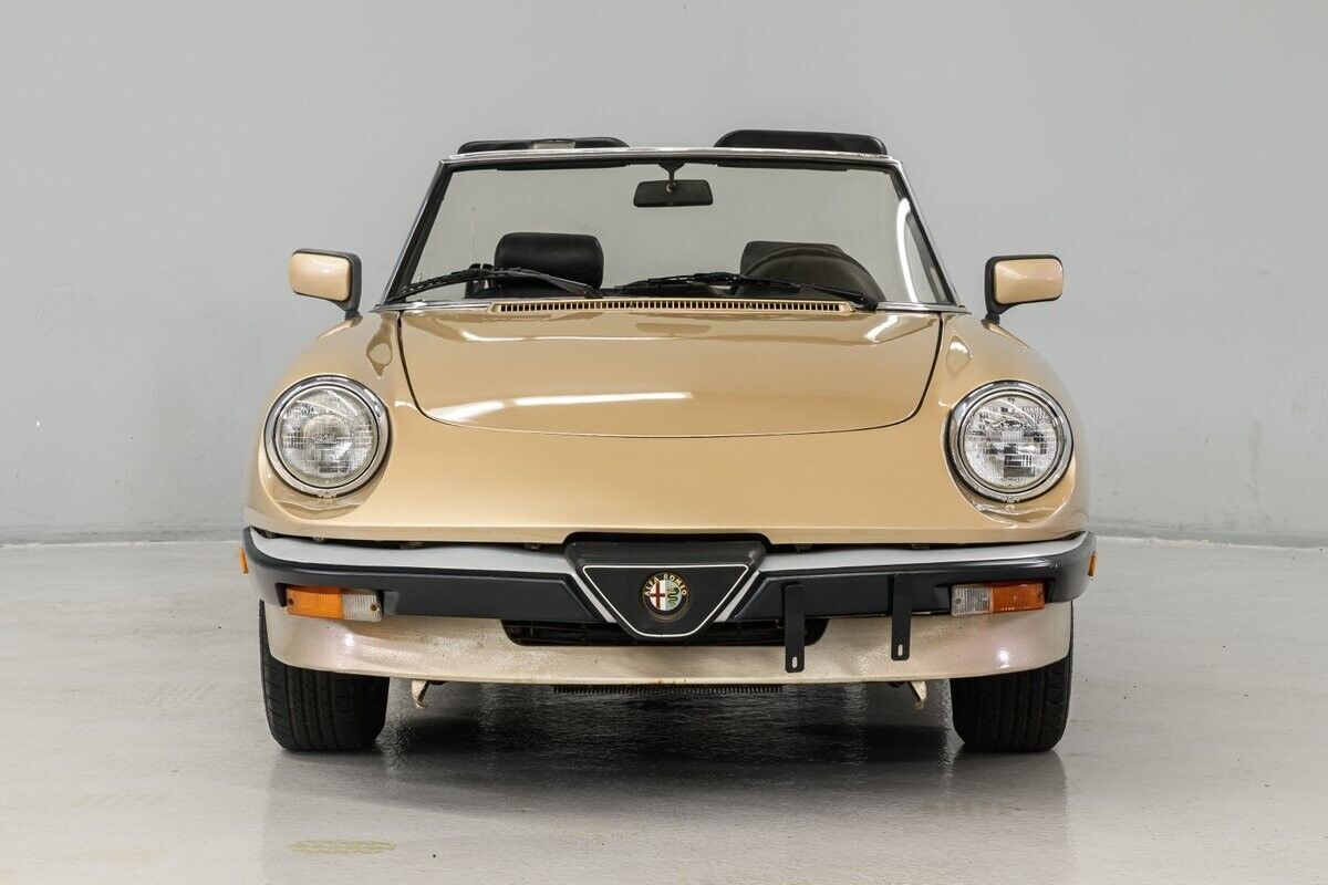 1986 Alfa Romeo Spider - photo 5