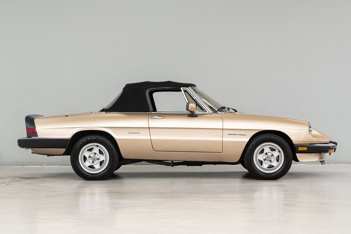 1986 Alfa Romeo Spider - photo 8