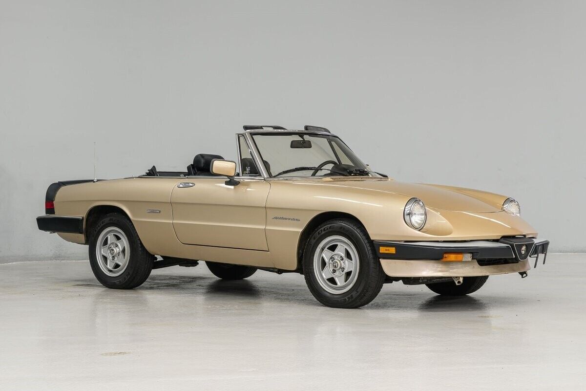 1986 Alfa Romeo Spider - photo 9