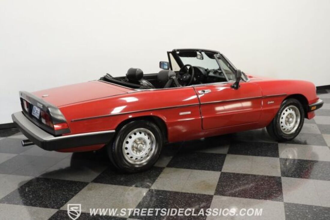 1986 Alfa Romeo Spider graduate - photo 13