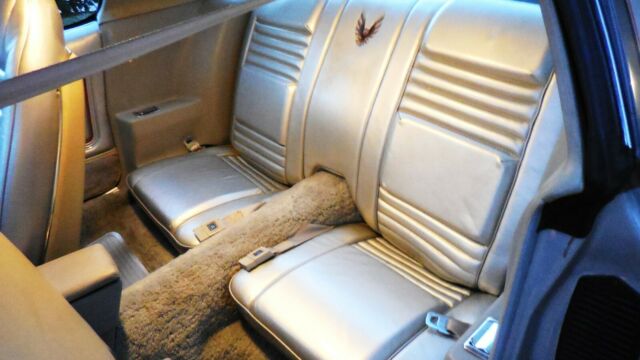 1979 Pontiac Trans Am 10th Anniversary - photo 12