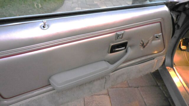 1979 Pontiac Trans Am 10th Anniversary - photo 13